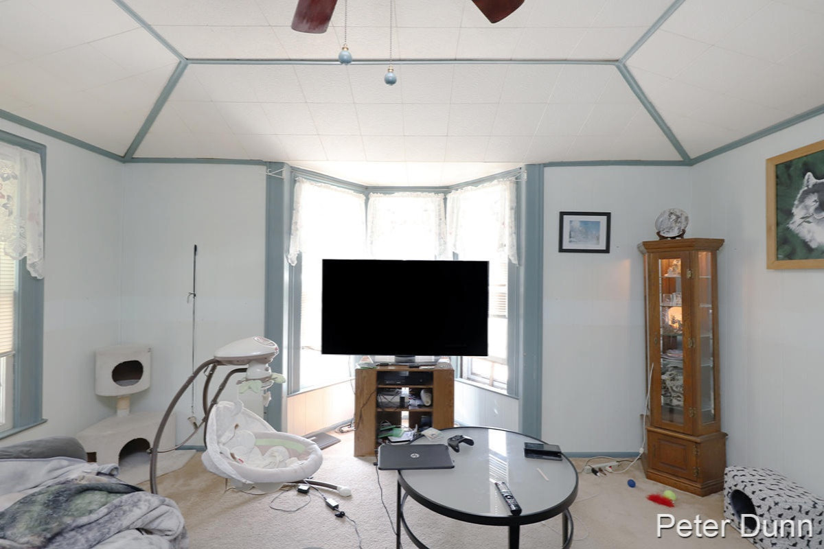 215 South Front Street Belding, MI 48809 - Photo 3 of 19 IMG__2153