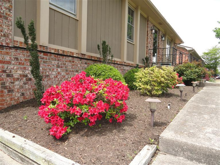 1064 Spring Run Road Lexington, KY 40514 - Photo 21 of 27 Photo 21