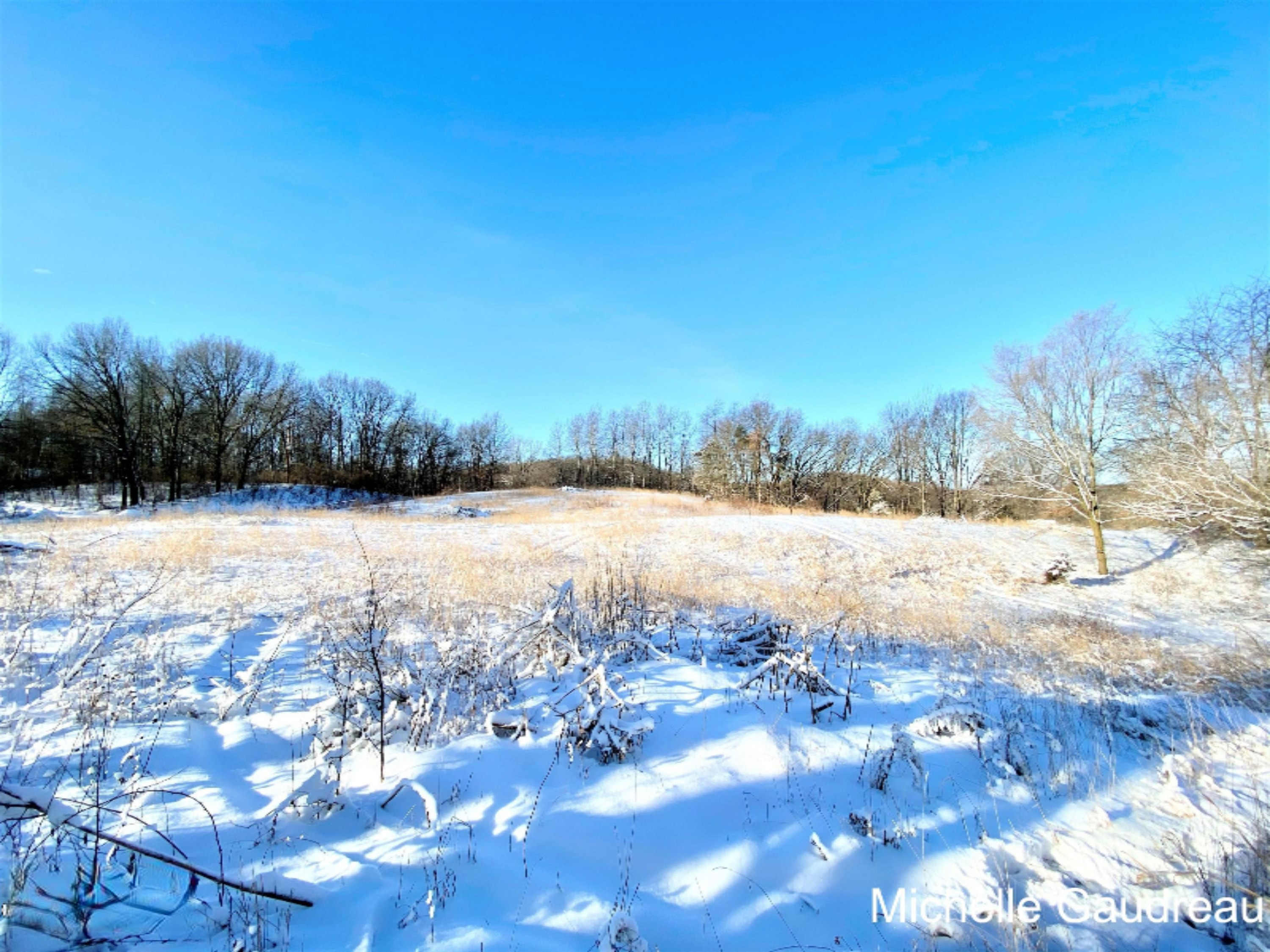 10 Wood School Road Freeport, MI 49325 - Photo 22 of 30 Woodschool Parcel 10-09.2