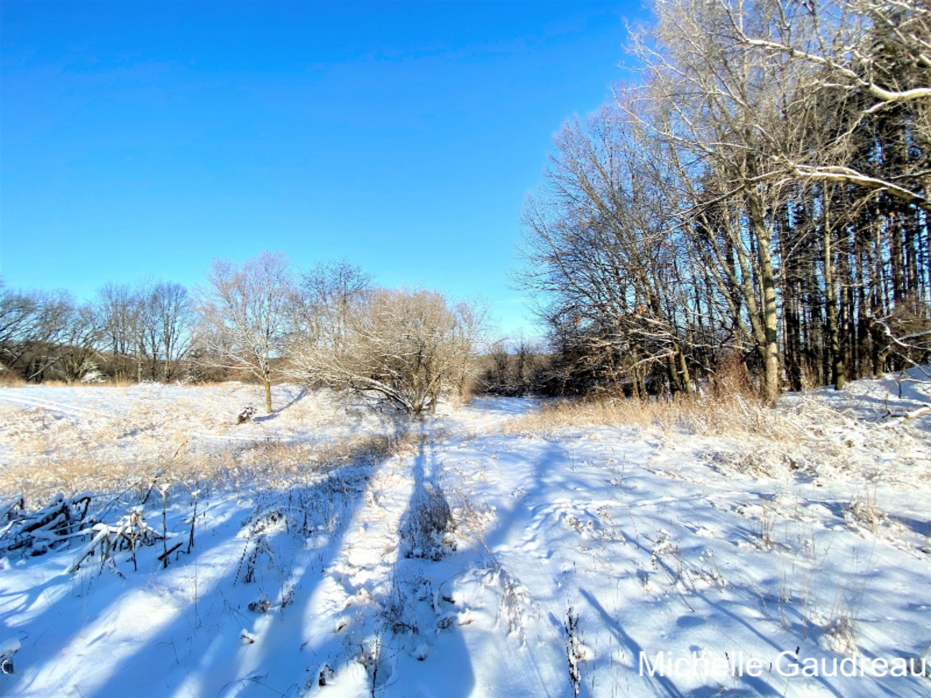 10 Wood School Road Freeport, MI 49325 - Photo 23 of 30 Woodschool Parcel 10-10.2