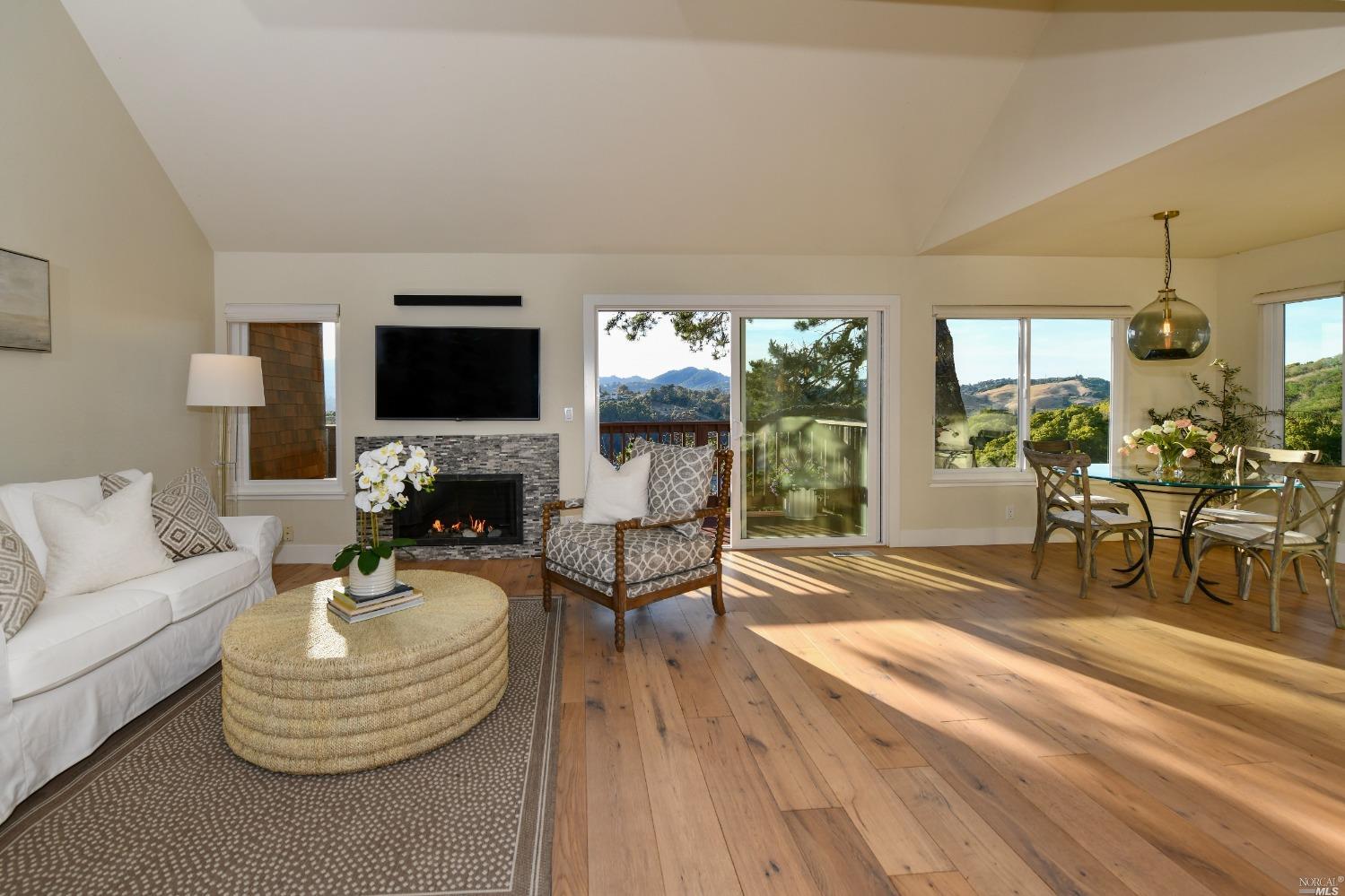 91 Milland Drive Mill Valley, CA 94941 - Photo 1 of 1 a living room with furniture a fireplace and a flat screen tv