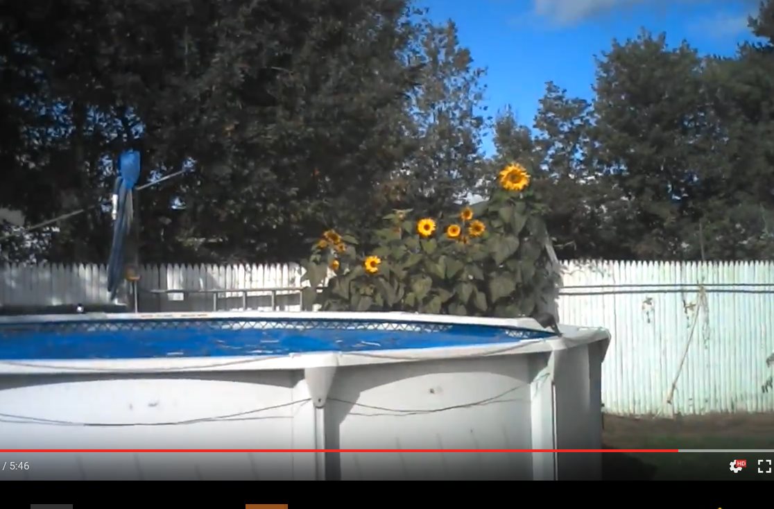 100 Rita Way Milton, VT 05468 - Photo 21 of 22 Gallery Image 21