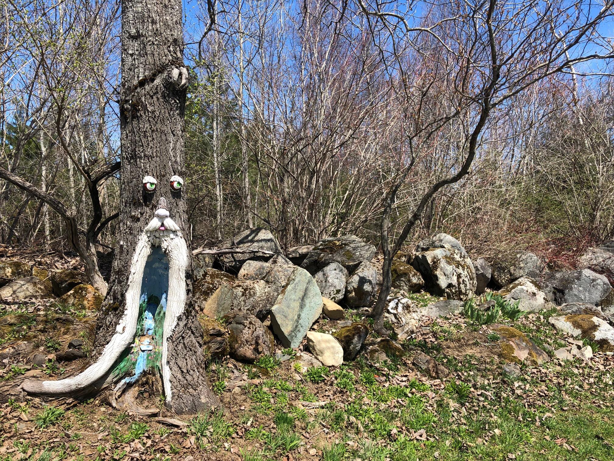 223 Island Falls Road Sherman, ME 04776 - Photo 15 of 16 IMG_2156