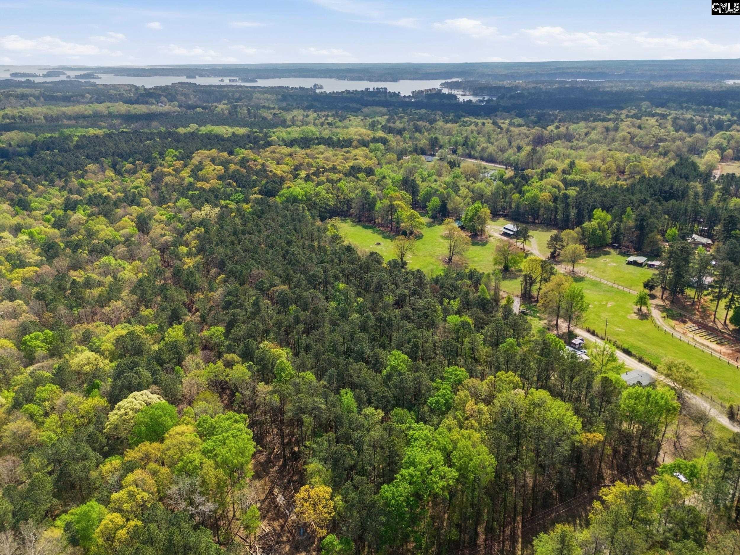0 Wildwood Rd Extension Leesville, SC 29070 - Photo 9 of 16