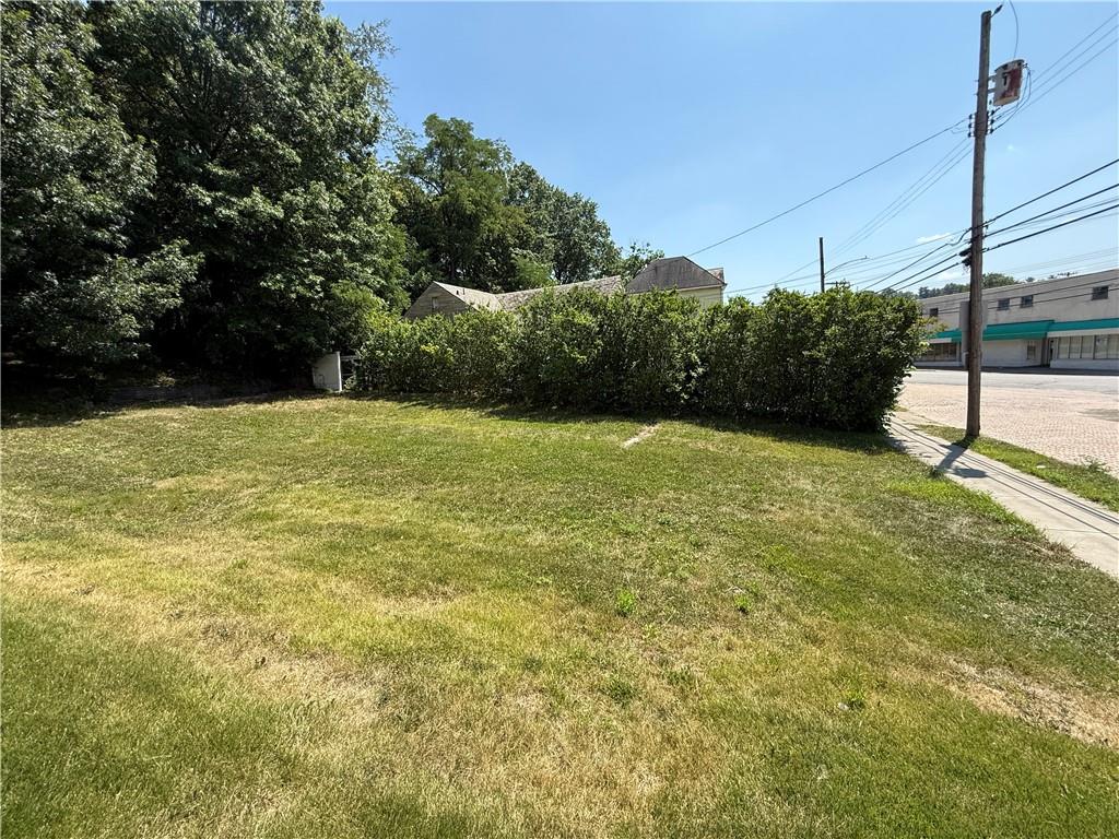 110 Greydon Avenue McKees Rocks, PA 15136 - Photo 2 of 6 a view of a green yard