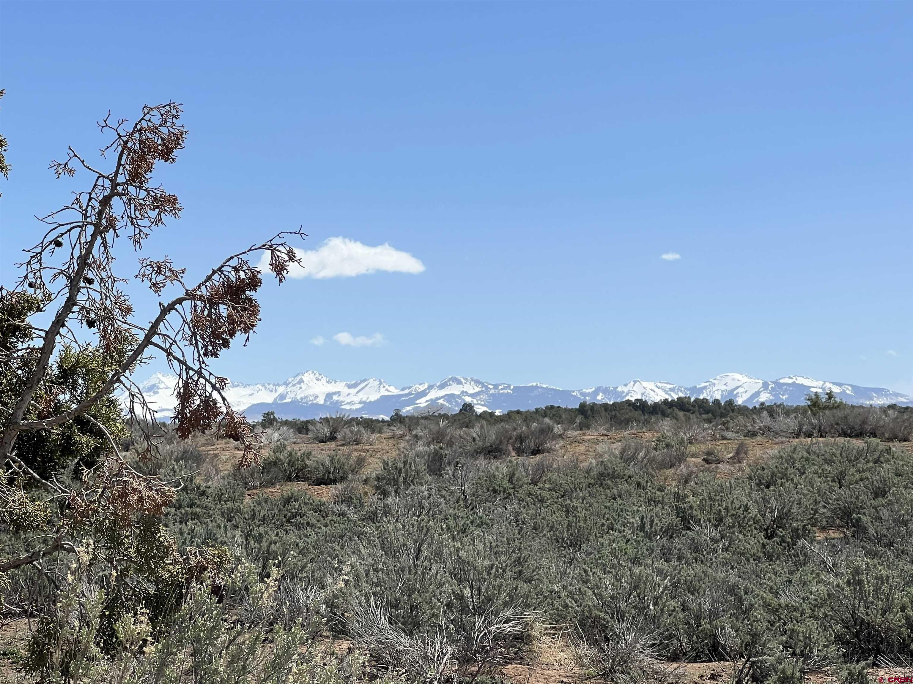 Lot 2 Road P Mancos Co 81328 Mancos, CO 81328 - Photo 4 of 6 a view of a big yard with a mountain in the background