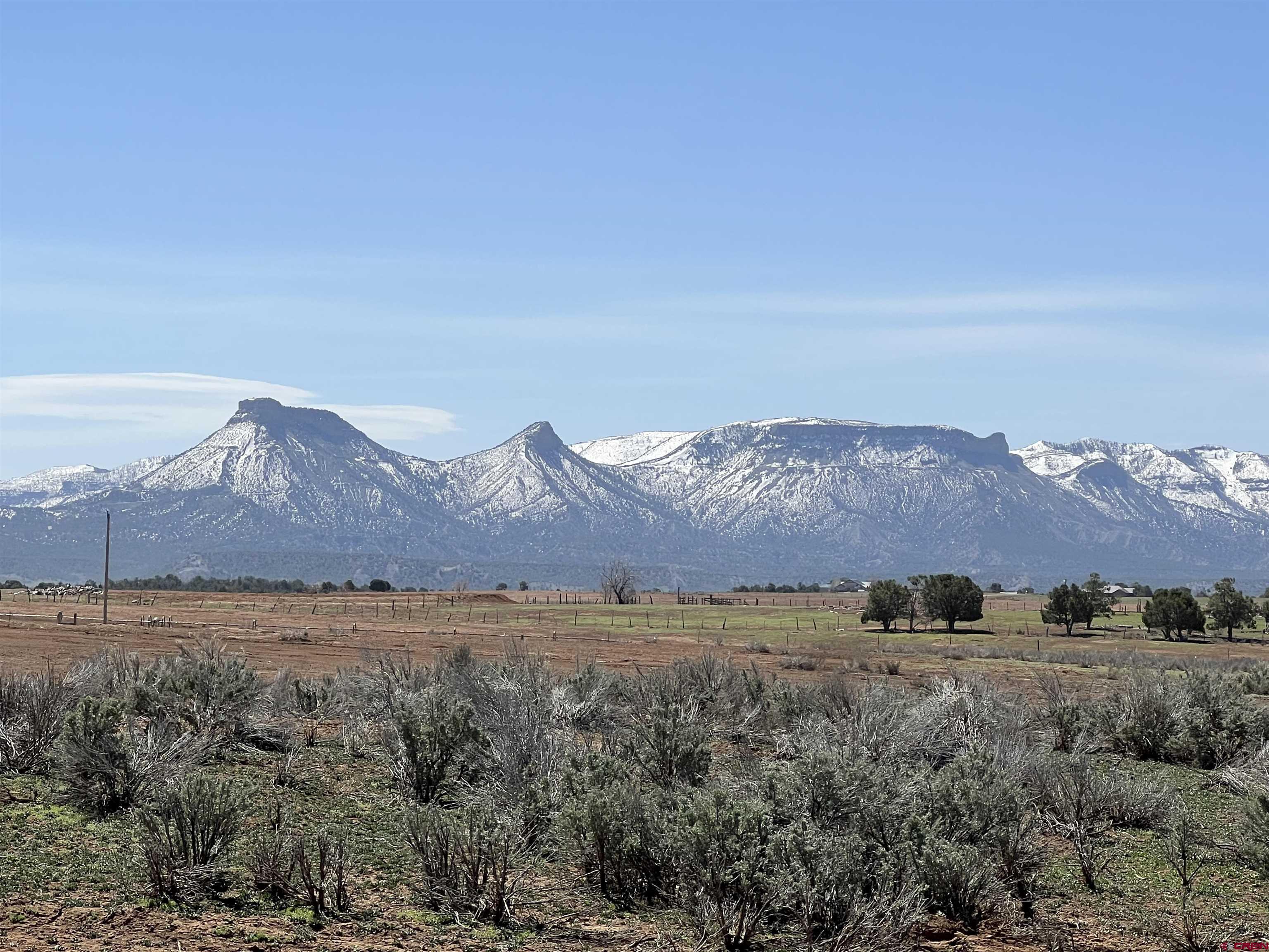 Lot 2 Road P Mancos Co 81328 Mancos, CO 81328 - Photo 5 of 6