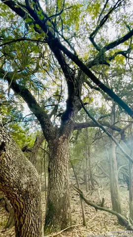 $210,000 | 26714 Rockwall Parkway, New Braunfels, TX 78132