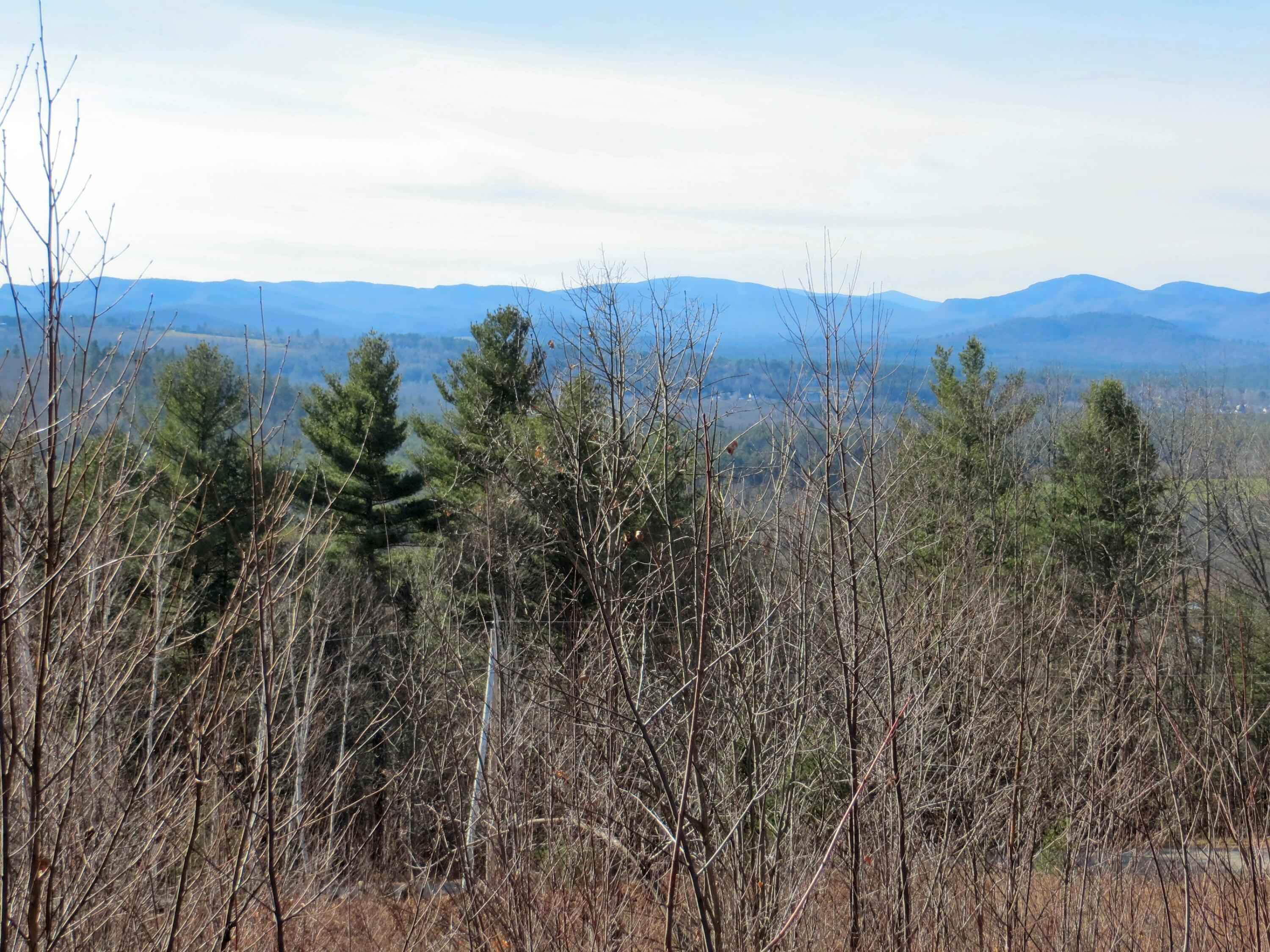 Lot #9 Taylor Smith Road Bethel, ME 04217 - Photo 2 of 22 Bethel Mohoosucs White Mts