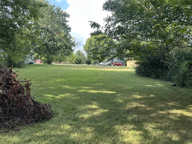 a big yard with lots of green space and trampoline