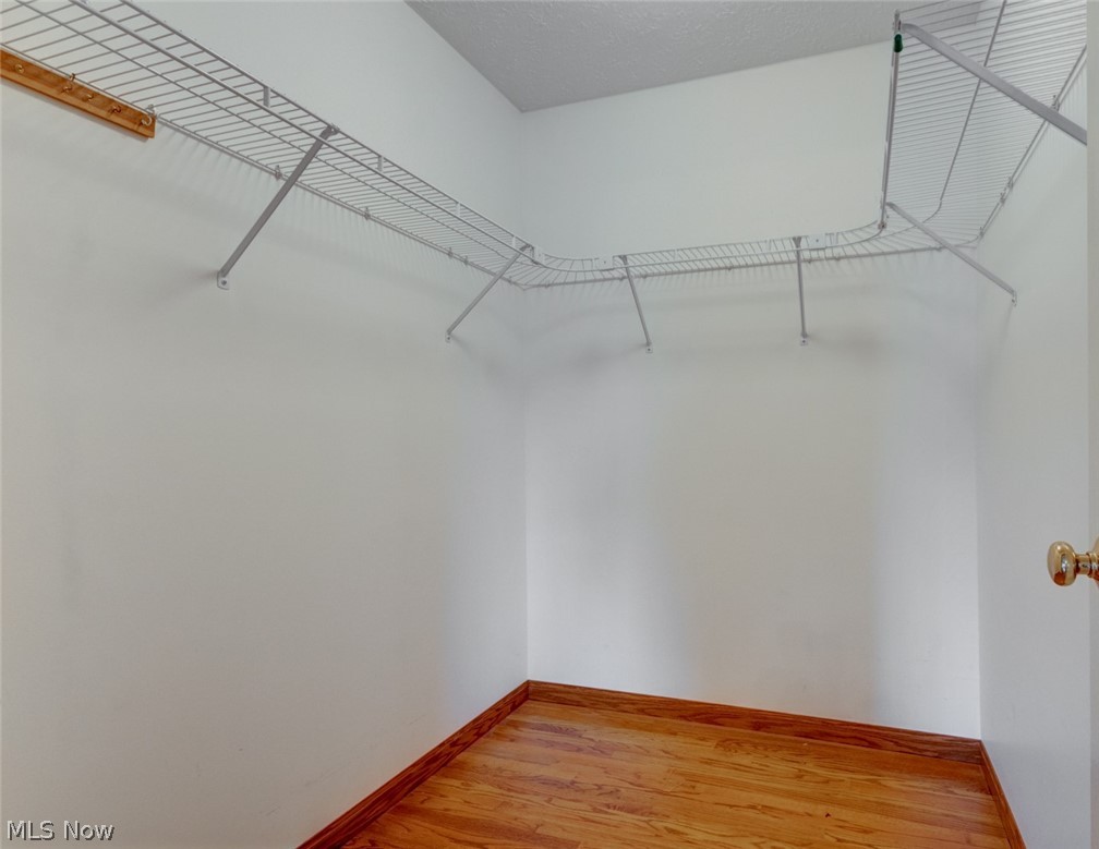 29385 Chardon Road Wickliffe, OH 44092 - Photo 21 of 29 Lots of wardrobe space