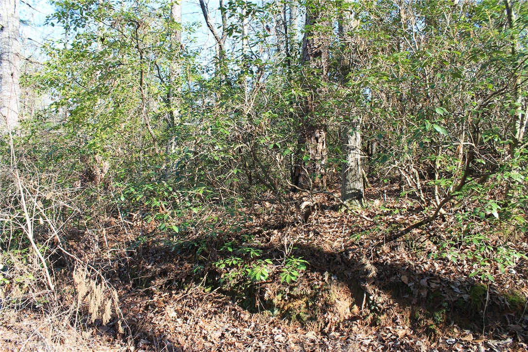 Lot 39 Deertrail Road Salem, SC 29676 - Photo 15 of 21 Gallery Image 15