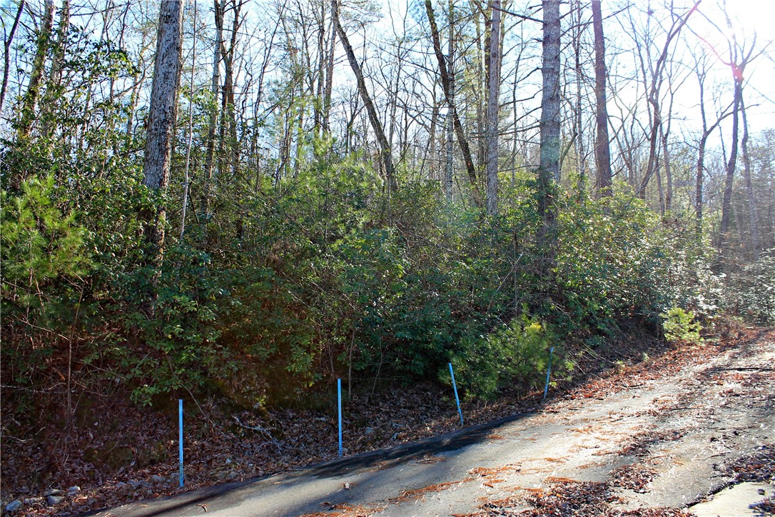 Lot 39 Deertrail Road Salem, SC 29676 - Photo 17 of 21 Gallery Image 17