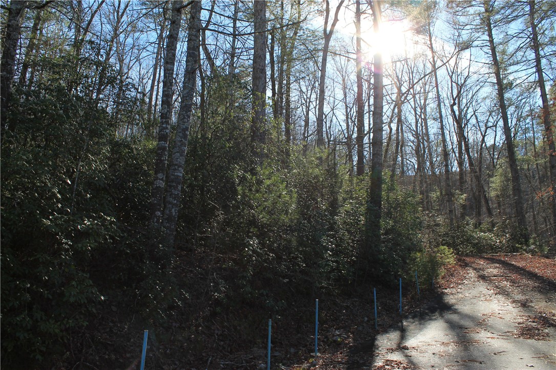 Lot 39 Deertrail Road Salem, SC 29676 - Photo 18 of 21 Gallery Image 18