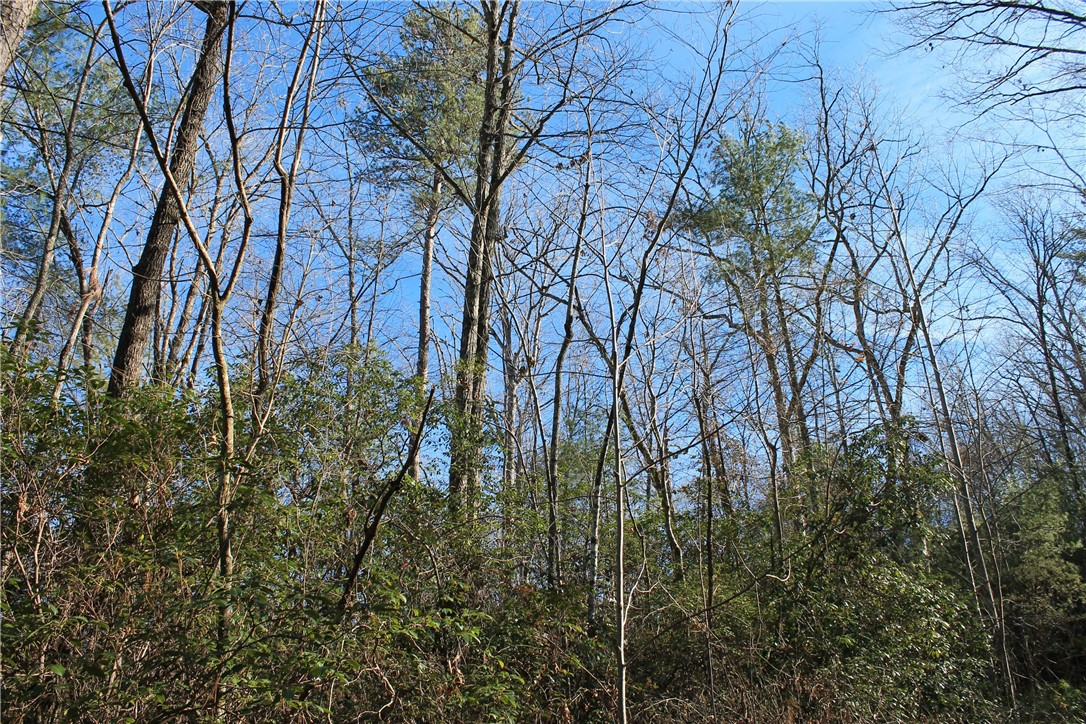 Lot 39 Deertrail Road Salem, SC 29676 - Photo 4 of 21 The property has many hardwoods and mountain laure