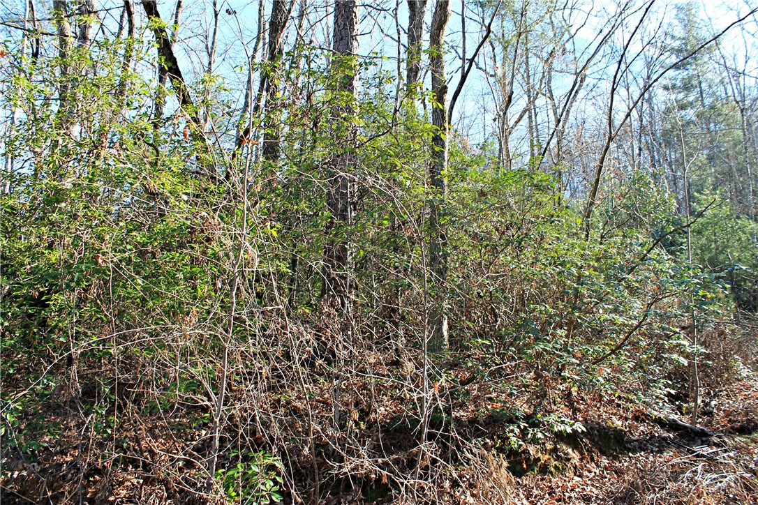 Lot 39 Deertrail Road Salem, SC 29676 - Photo 5 of 21 Gallery Image 5