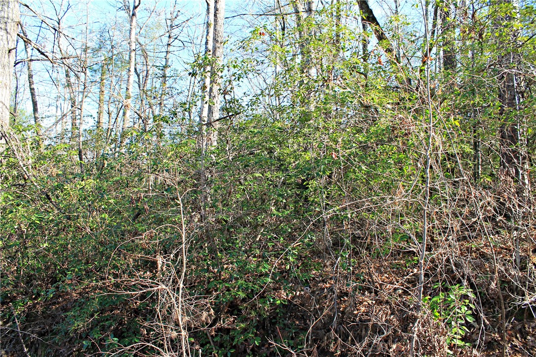 Lot 39 Deertrail Road Salem, SC 29676 - Photo 6 of 21 Gallery Image 6