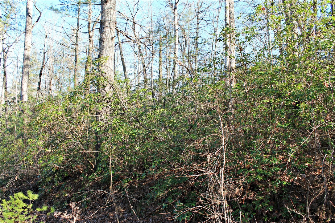 Lot 39 Deertrail Road Salem, SC 29676 - Photo 7 of 21 Gallery Image 7