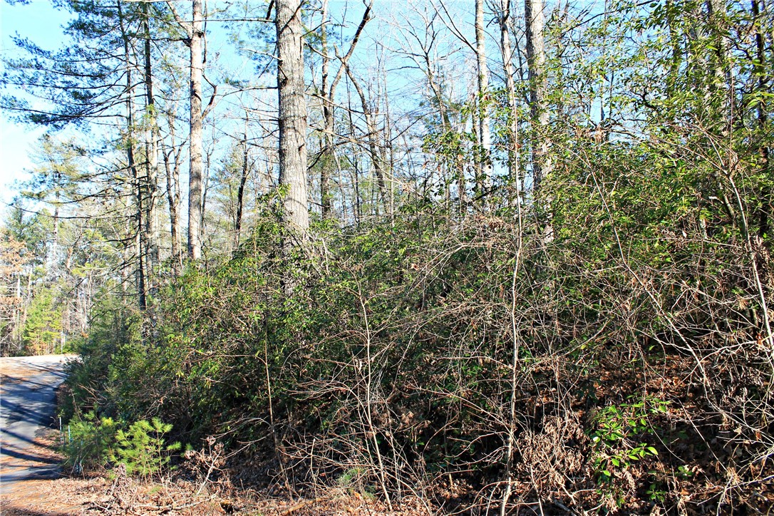 Lot 39 Deertrail Road Salem, SC 29676 - Photo 8 of 21 Gallery Image 8