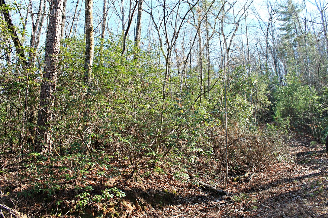 Lot 39 Deertrail Road Salem, SC 29676 - Photo 9 of 21 Gallery Image 9