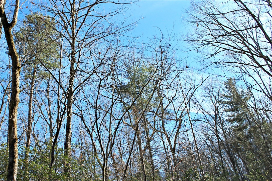 Lot 39 Deertrail Road Salem, SC 29676 - Photo 10 of 21 Gallery Image 10