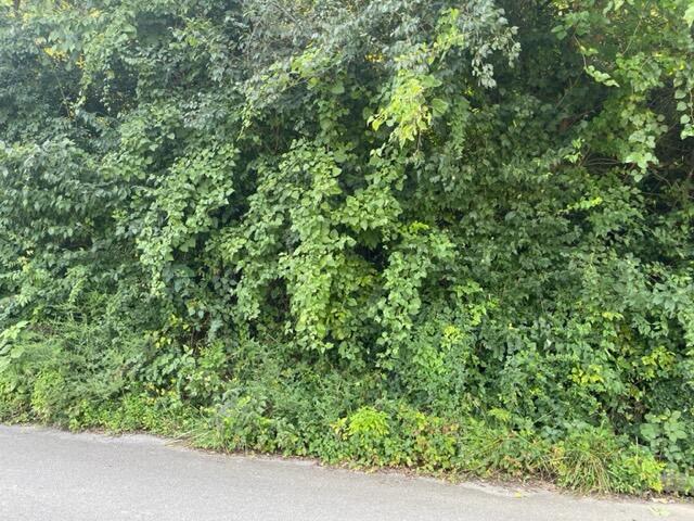 0 Grace Avenue Chattanooga, TN 37406 - Photo 3 of 4 52