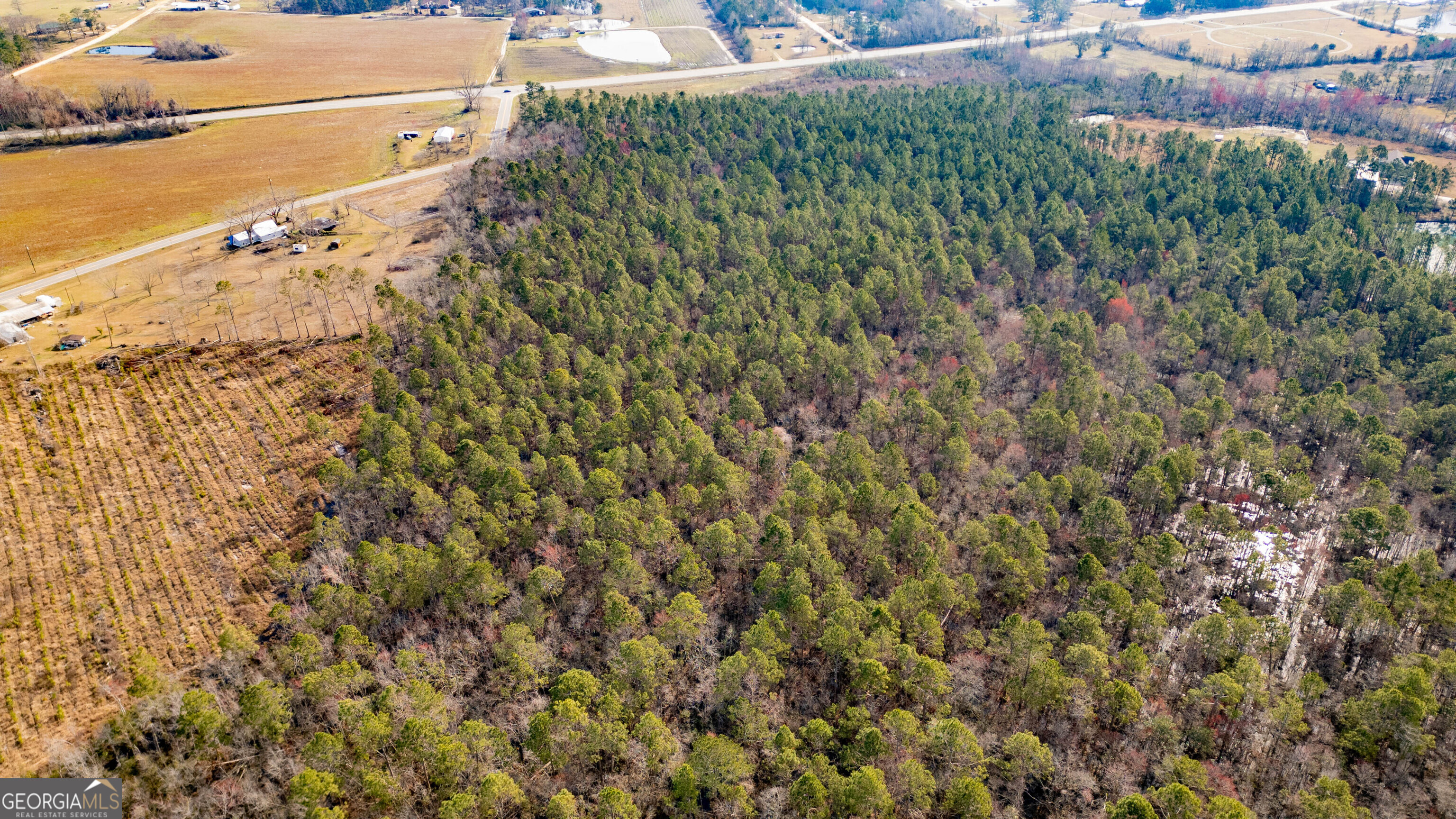 0 Piney Bluff Road Baxley, GA 31513 - Photo 4 of 7 a view of a yard with an ocean view