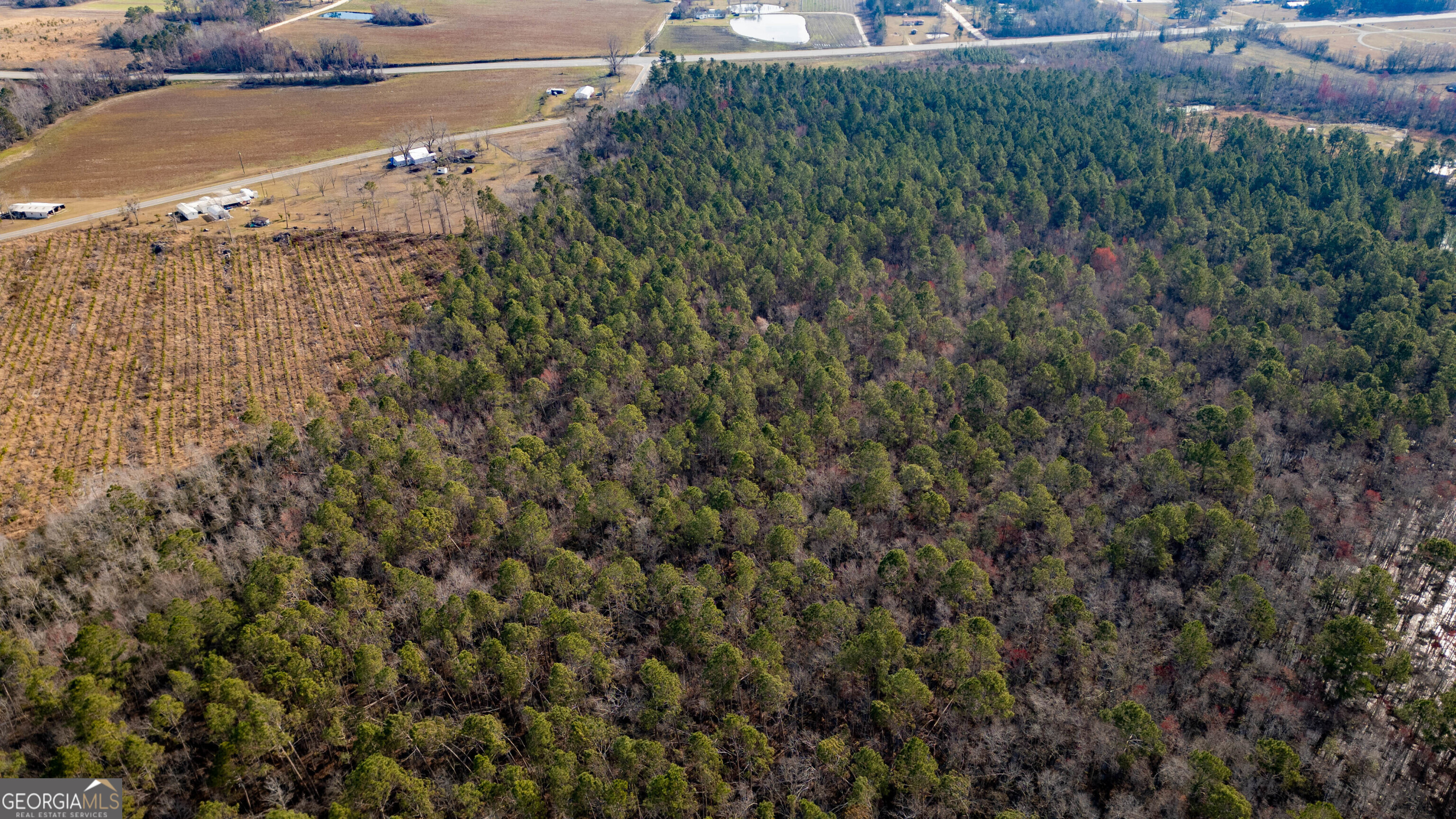 0 Piney Bluff Road Baxley, GA 31513 - Photo 5 of 7 a view of a yard