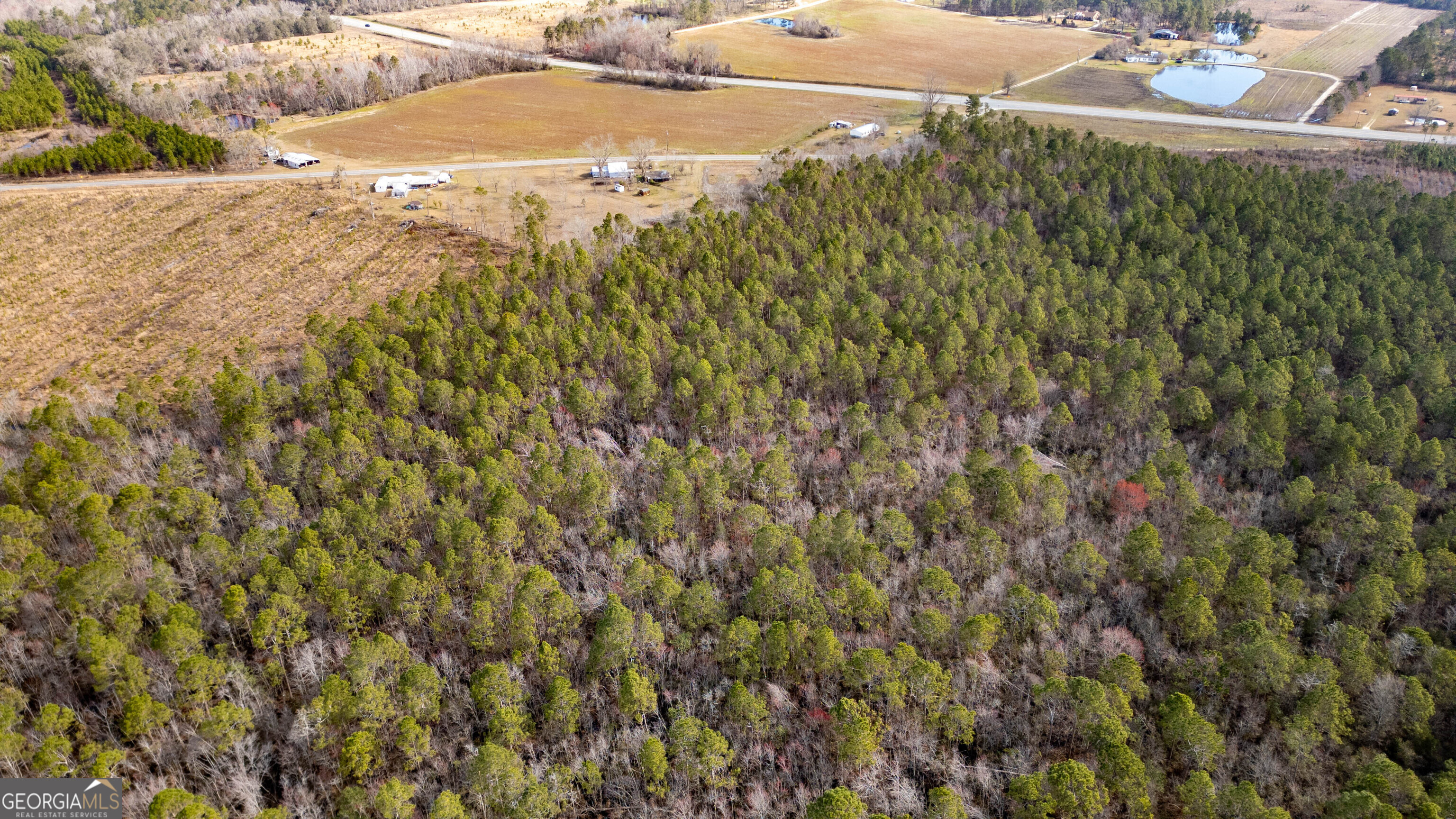 0 Piney Bluff Road Baxley, GA 31513 - Photo 6 of 7
