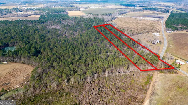 $110,000 | 0 Piney Bluff Road, Baxley, GA 31513