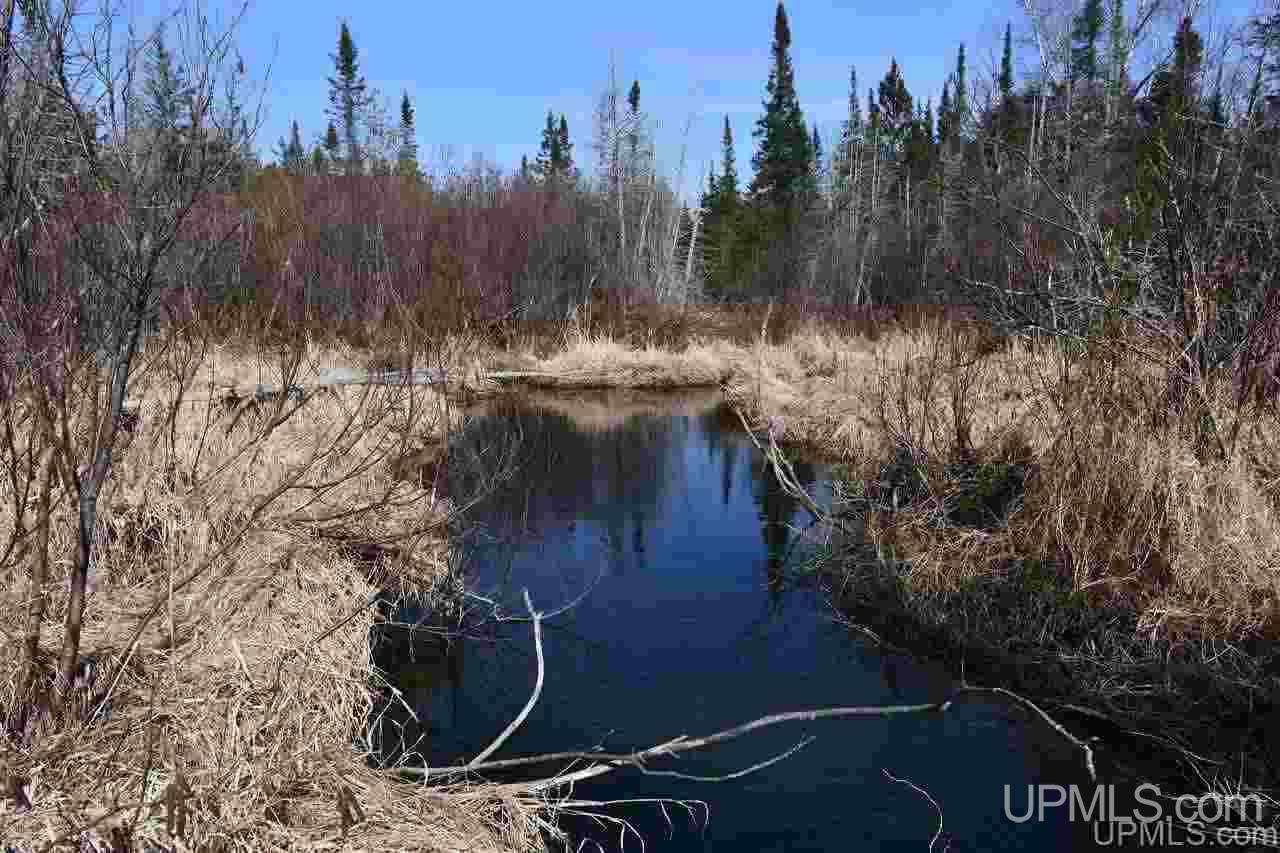 75-acres West Cold Springs Road Chatham, MI 49816 - Photo 11 of 42