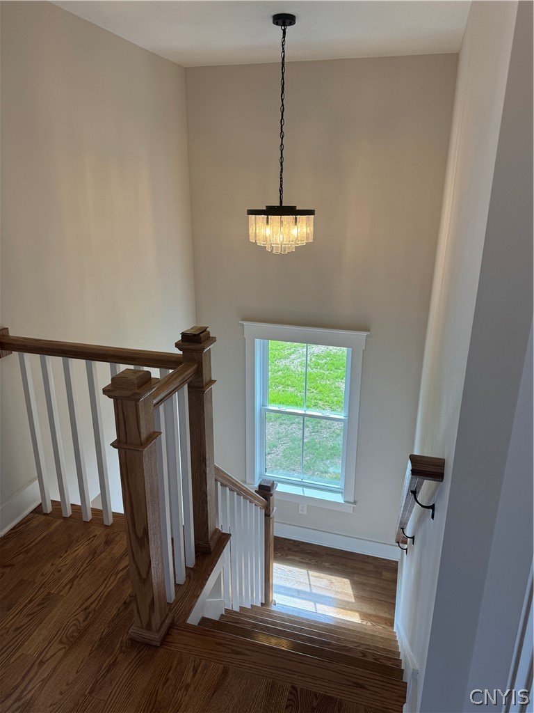 8539 Angus Path Cicero, NY 13039 - Photo 29 of 50