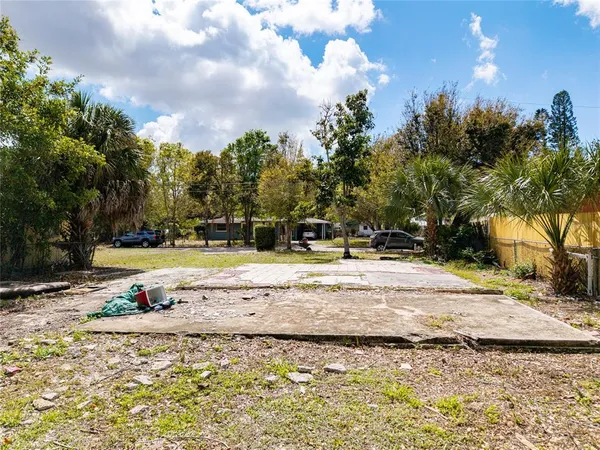 a view of a yard with a trees