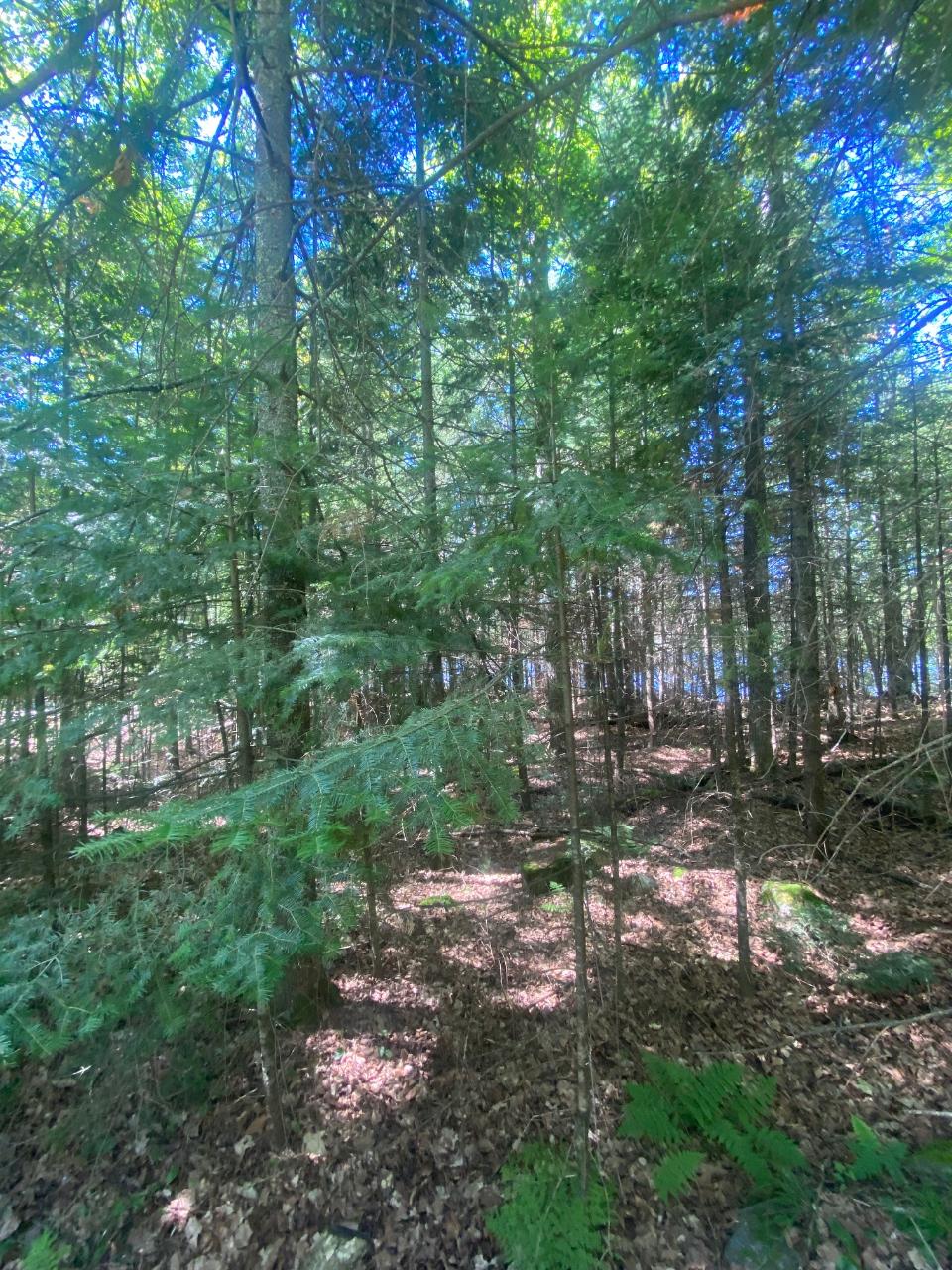 On Musky Point Road, Unit LOT 3 Mercer, WI 54547 - Photo 2 of 13 Gallery Image 2