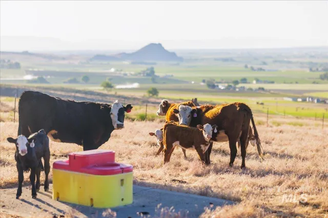 $2,400,000 | 1270 Hillcrest Drive, Vale, OR 97918