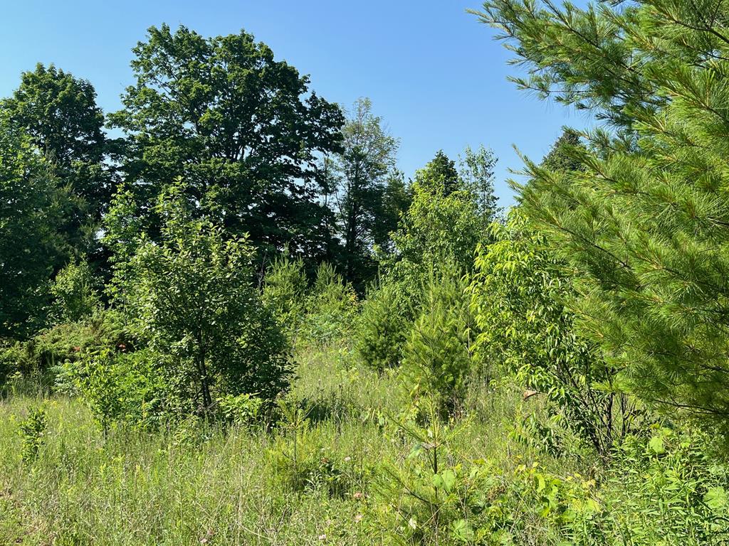 Orchards Trail Egg Harbor, WI 54209 - Photo 3 of 9