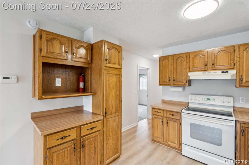 1696 Clark Lake Road Brighton, MI 48114 - Photo 16 of 58