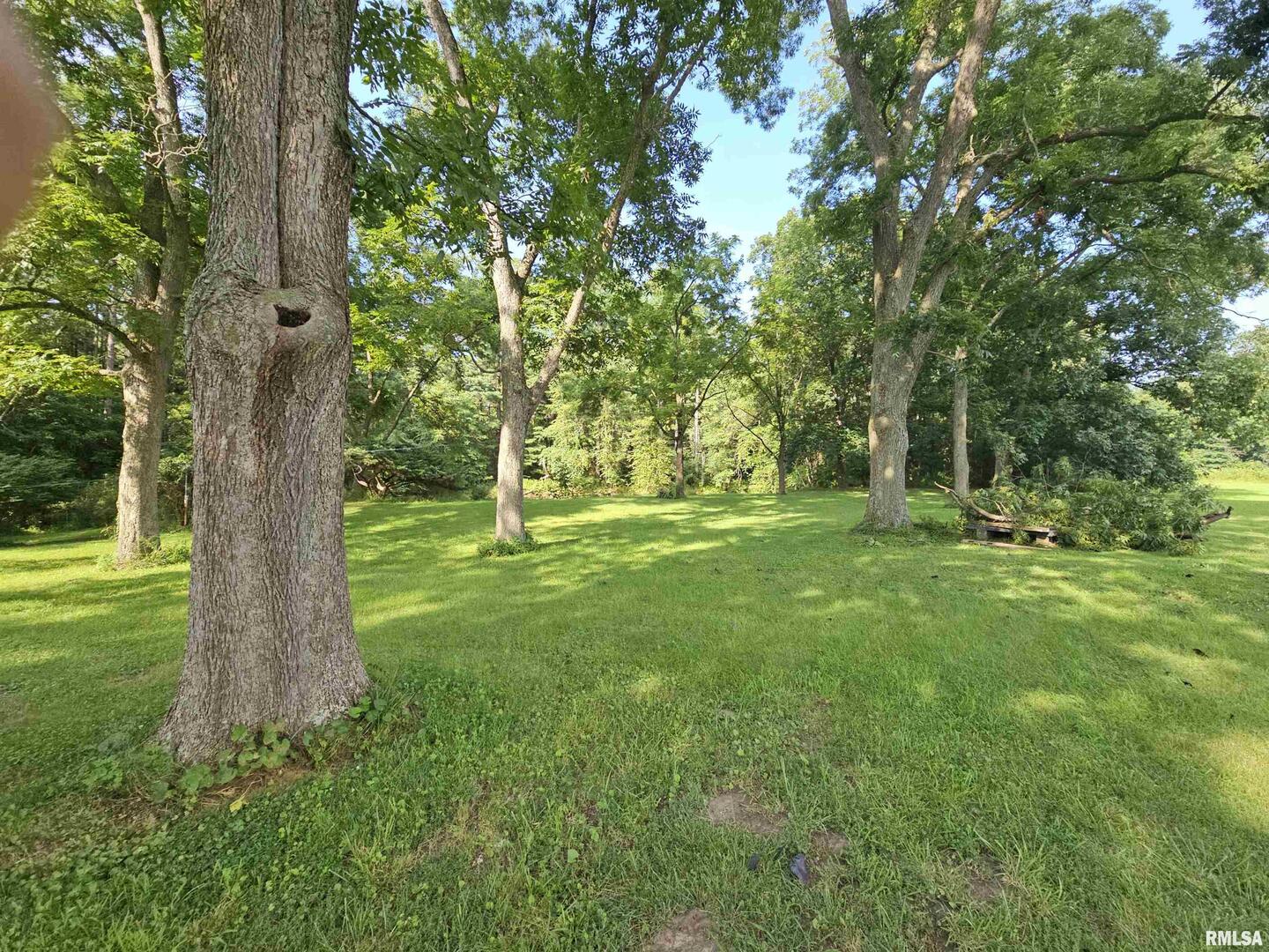 9758 East Richview Road Mount Vernon, IL 62864 - Photo 33 of 40
