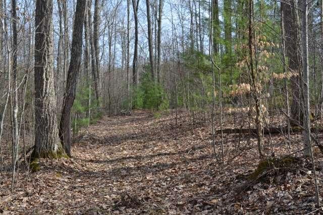 204 Brush Road Lewisburg, WV 24901 - Photo 34 of 60 Gallery Image 34