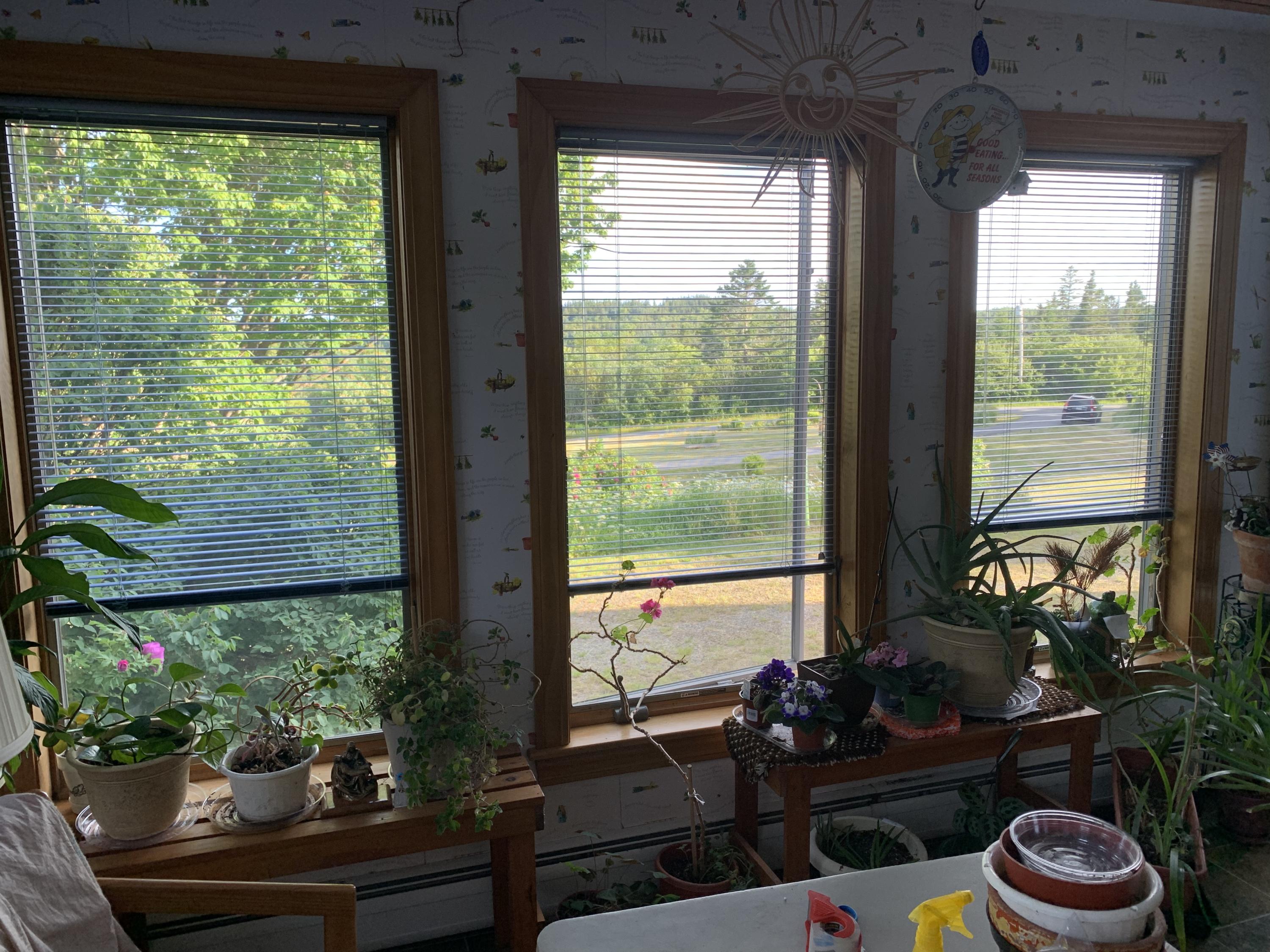 1181 Boot Cove Road Lubec, ME 04652 - Photo 13 of 52 B736CF0A-0CF2-4D22-9D94-FAE5A8F1B71D