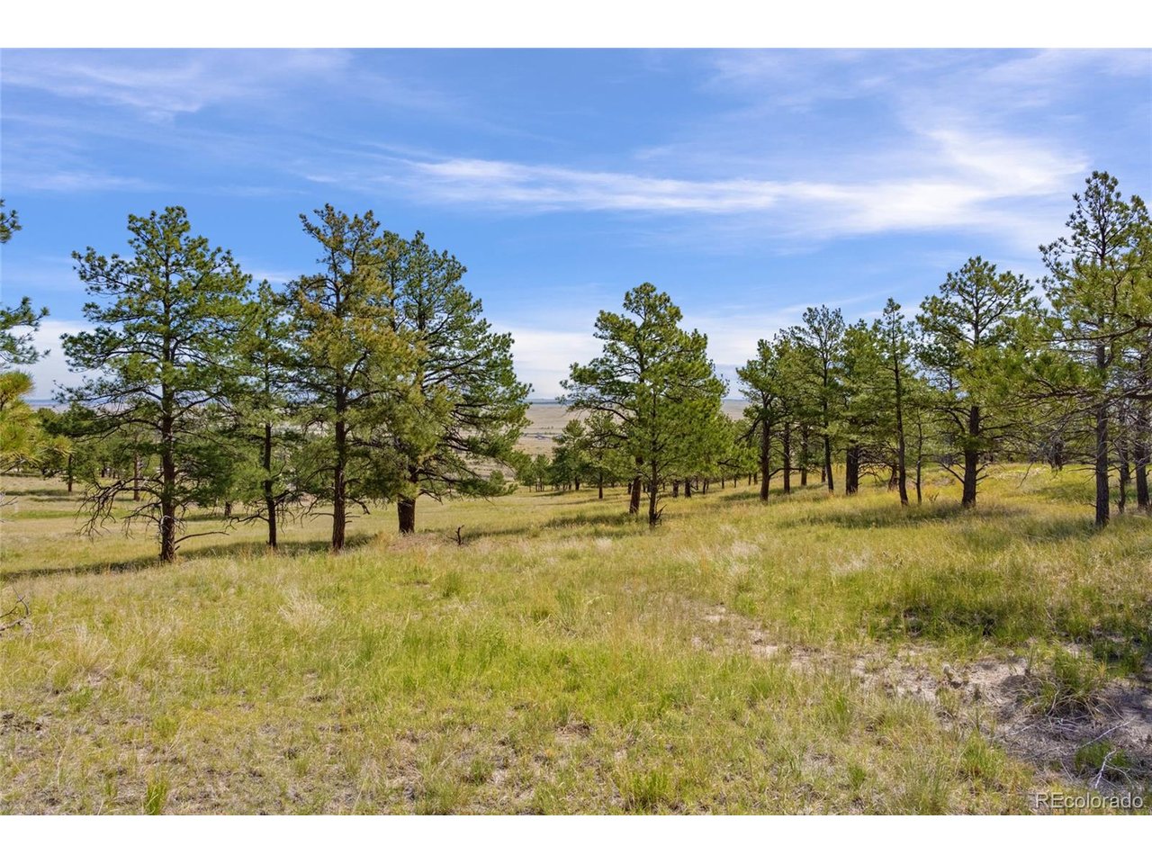 77 County Road Calhan, CO 80808 - Photo 7 of 27 Gallery Image 7