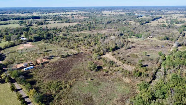 an aerial view of forest