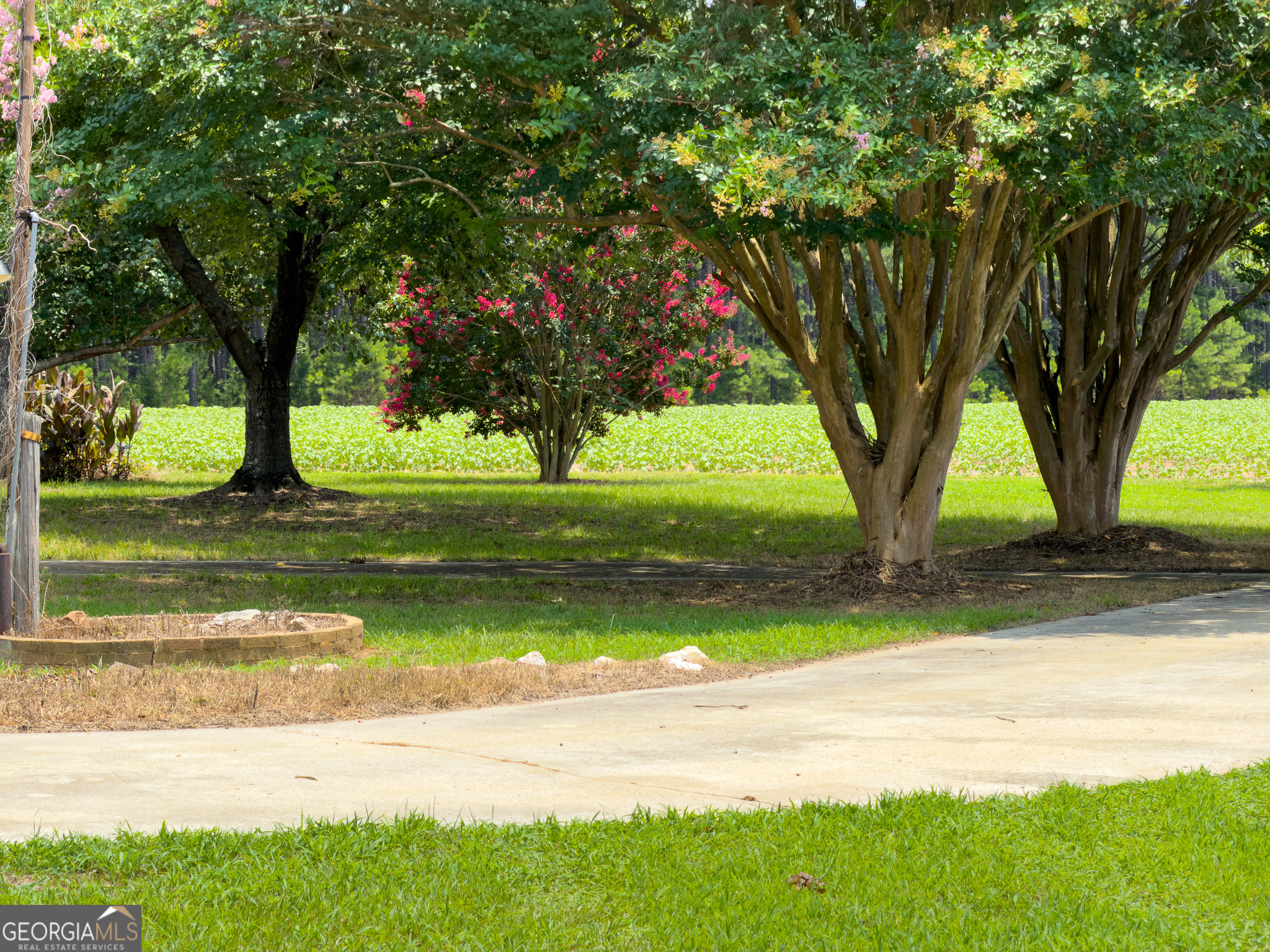 1300 Terry Drive Stapleton, GA 30823 - Photo 8 of 52 Gallery Image 8