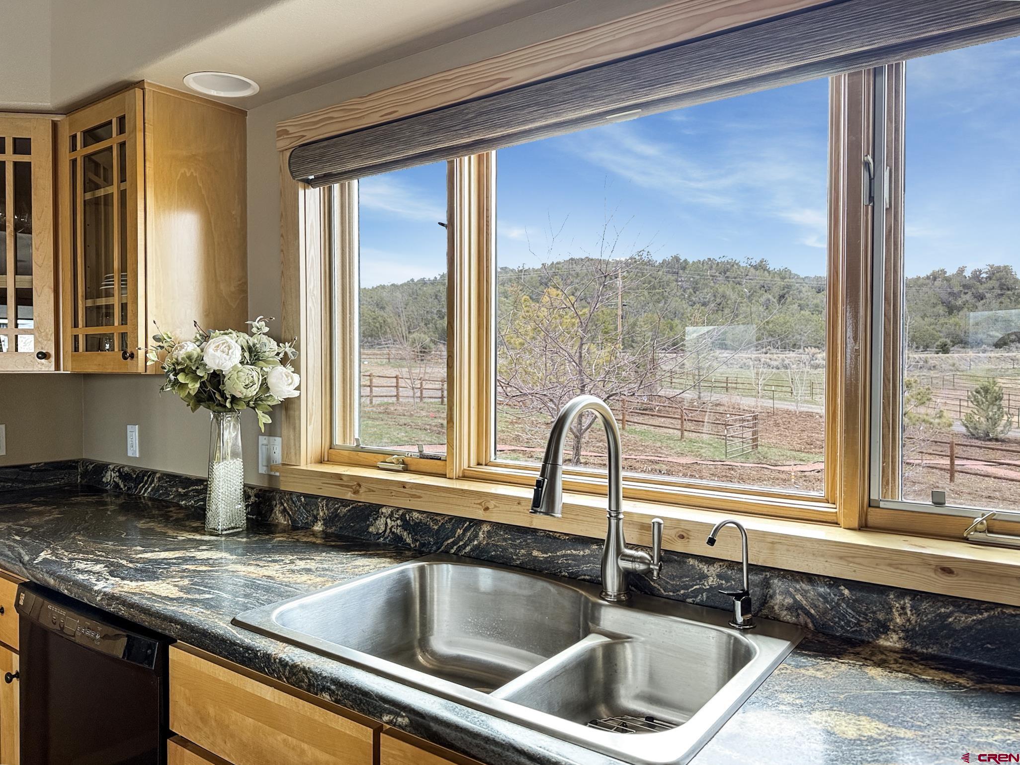 1190 7745 Road Crawford, CO 81415 - Photo 12 of 43 a close view of a sink a faucet and a cabinet with a potted plant next to a window