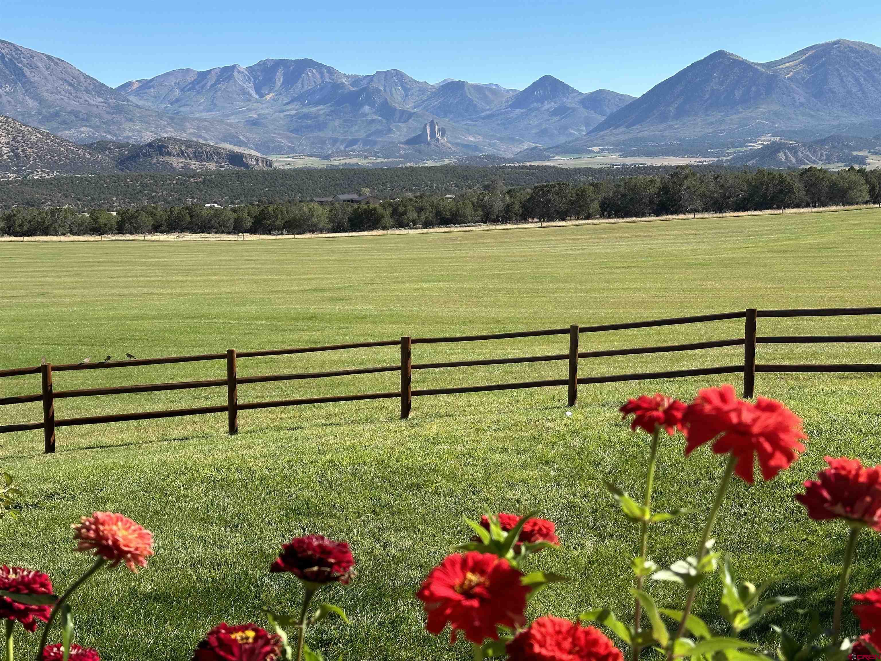 1190 7745 Road Crawford, CO 81415 - Photo 3 of 43