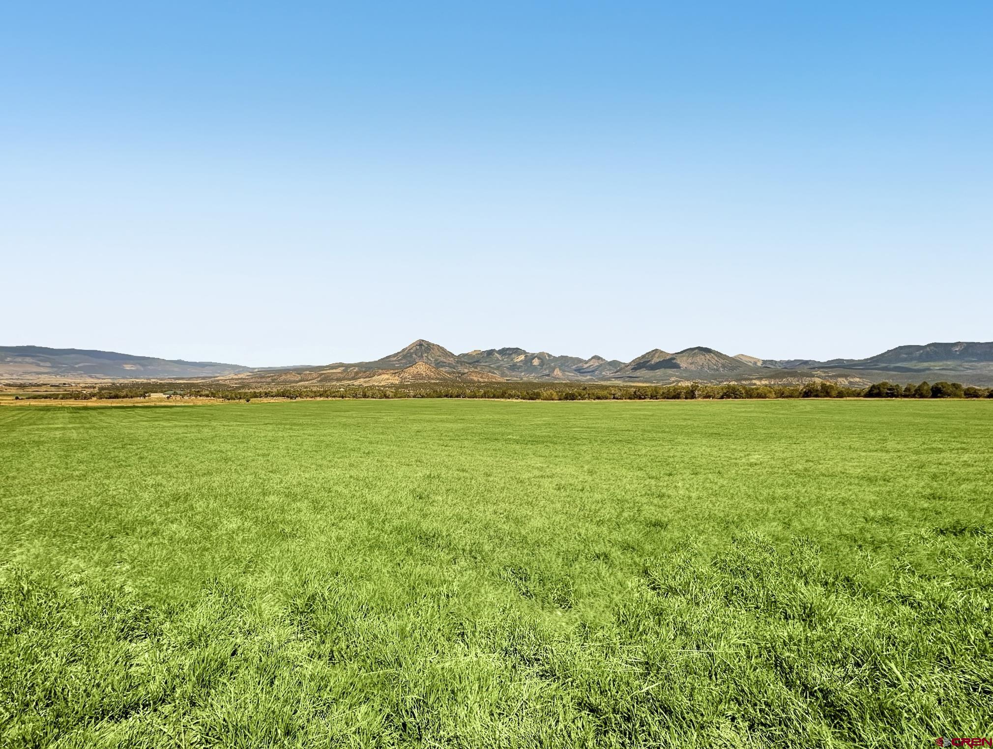 1190 7745 Road Crawford, CO 81415 - Photo 42 of 43 a view of an ocean and a mountain