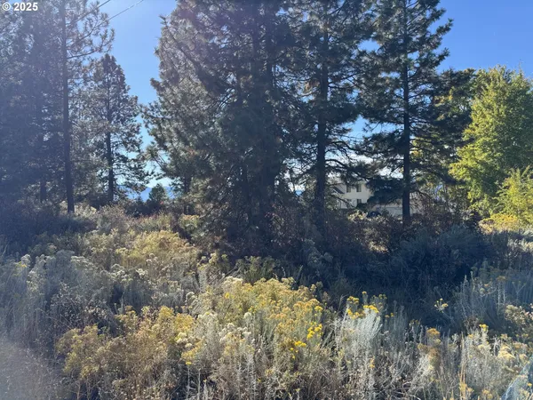 a view of a lake with a building in the background