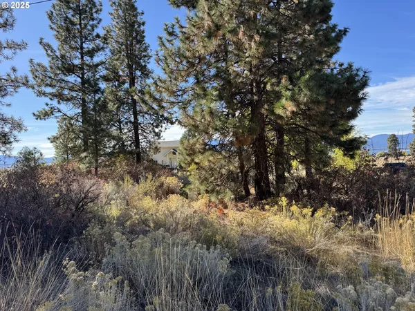 a view of a large yard