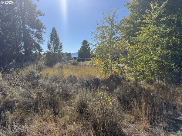a view of a forest with a yard