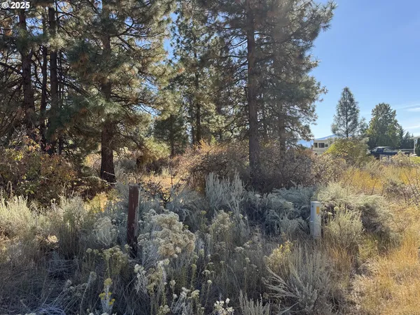 a view of a lake with lots of trees